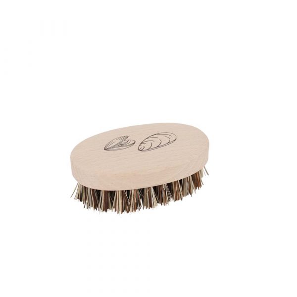 brosse a coquillages