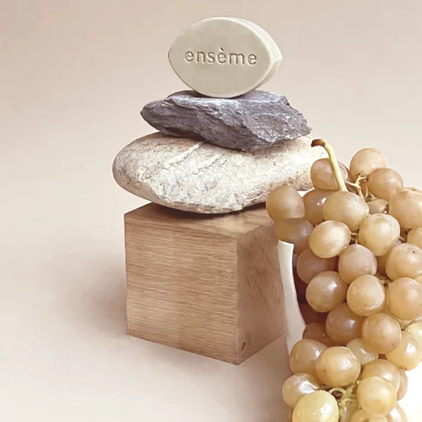 shampoing solide cheveux gras