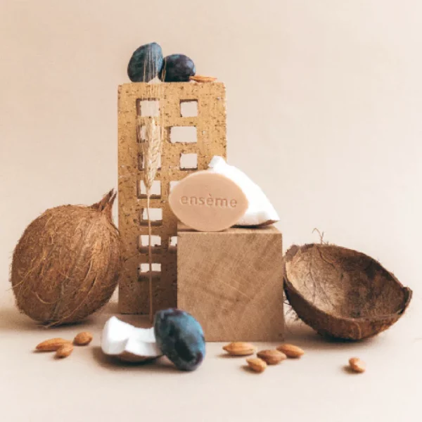 shampoing solide cheveux secs