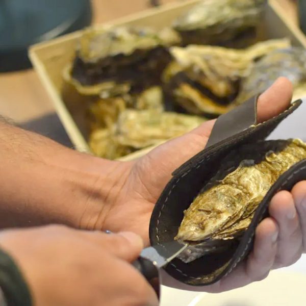 coffret gant + couteau à huitres