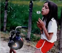 sticker-reflechissant-velo-rainette.jpg