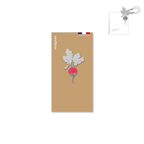 magnet en métal radis