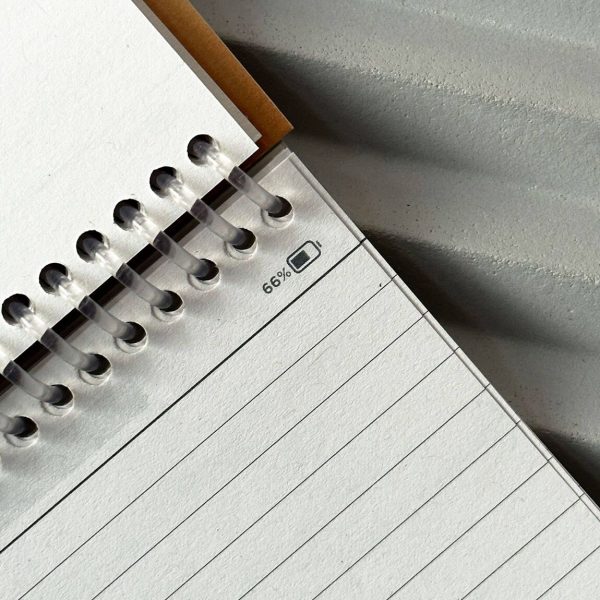 carnet de note papier tigre