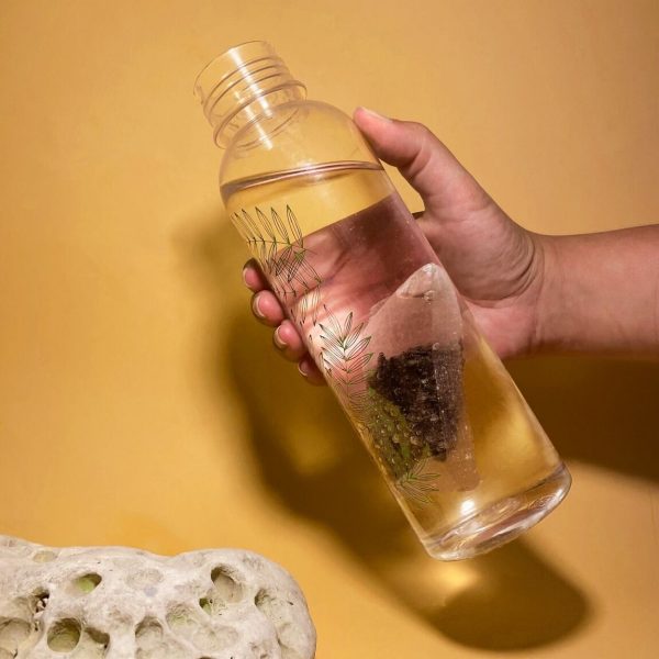 sachet charbon végétal filtre eau