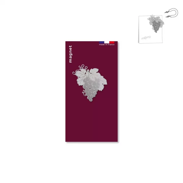 magnet grappe raisin