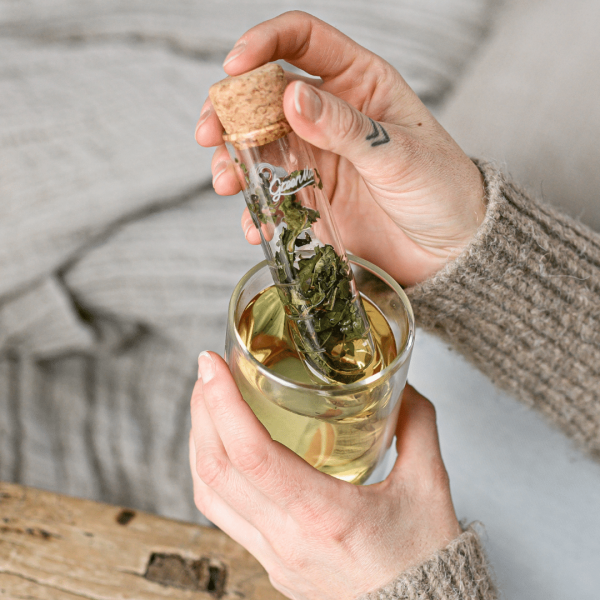 infuseur en verre pour thé ou tisane par Greema