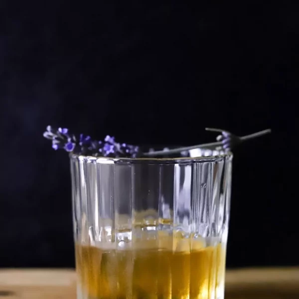 verre duralex Manhanttan 22cl