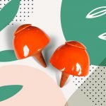 oya pour plante 50cl orange le vivant