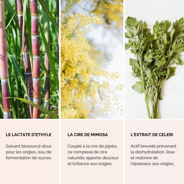 dissolvant soin solide bio en boite par Unaod