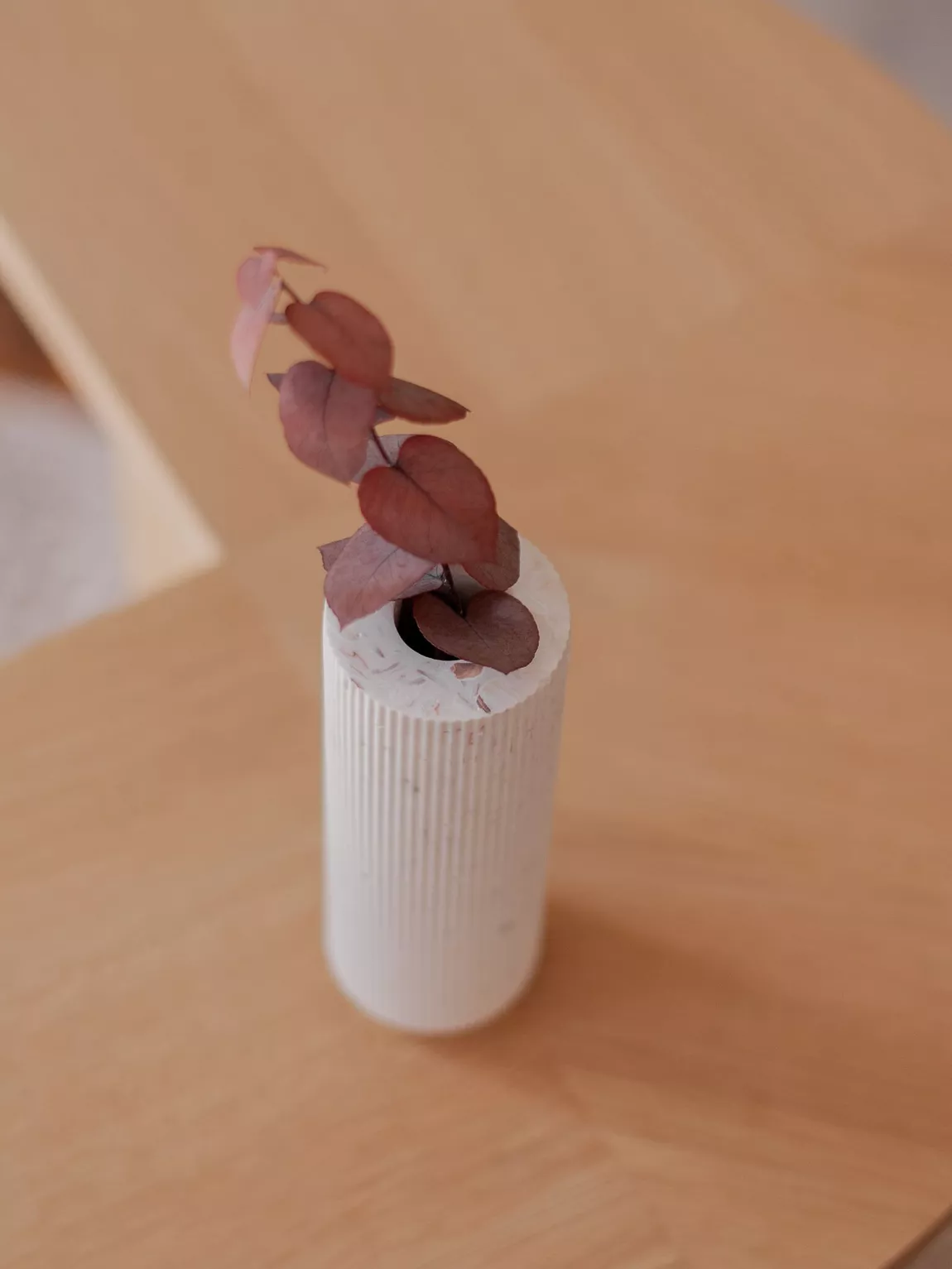 soliflore-saint-jacques-malakio3.jpg soliflore en coquillages recyclés saint-jacques par Malakio