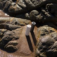 soliflore_colosse_blanc_mixte_coquillages_recycles_malakio_1