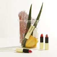 ingredients-du-rouge-a-levres-naturel-pomponned.jpg